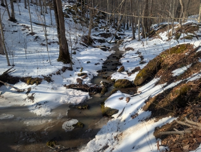 Washington County Large Acreage Hunting and Timber - image 22