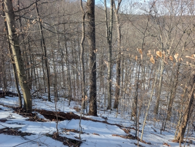 Washington County Large Acreage Hunting and Timber - image 8