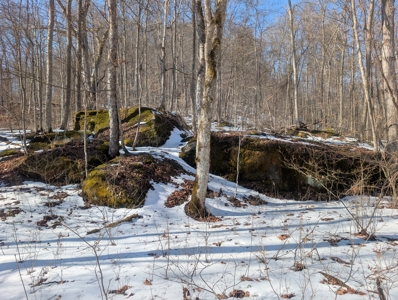 Washington County Large Acreage Hunting and Timber - image 13