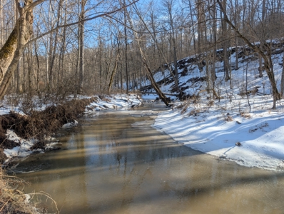 Washington County Large Acreage Hunting and Timber - image 11