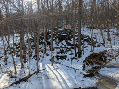 Washington County Large Acreage Hunting and Timber - image 20