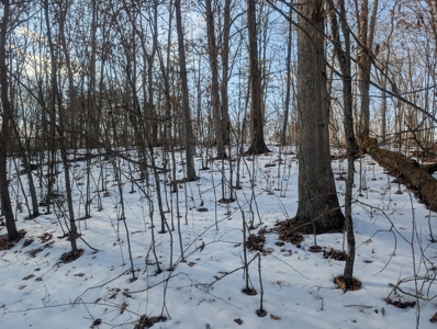 Washington County Large Acreage Hunting and Timber - image 1