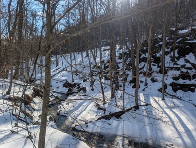 Washington County Large Acreage Hunting and Timber - image 21