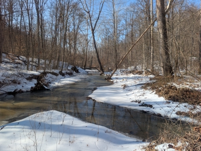 Washington County Large Acreage Hunting and Timber - image 12