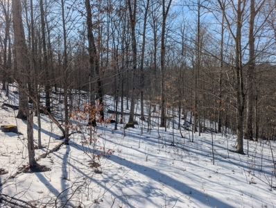 Washington County Large Acreage Hunting and Timber - image 7