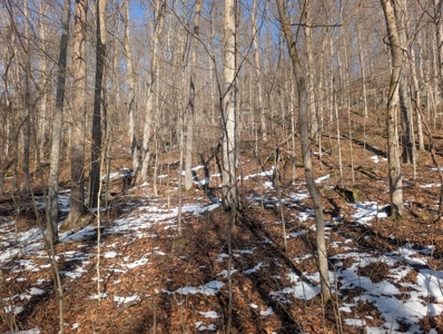 Washington County Large Acreage Hunting and Timber - image 16