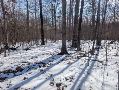 Washington County Large Acreage Hunting and Timber - image 5