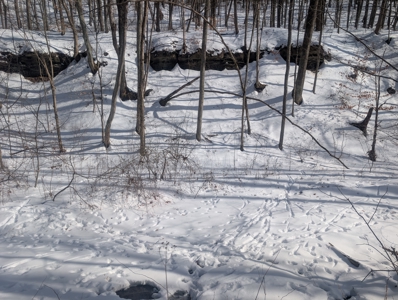 Belmont County Recreational Land Tract 17 - image 6