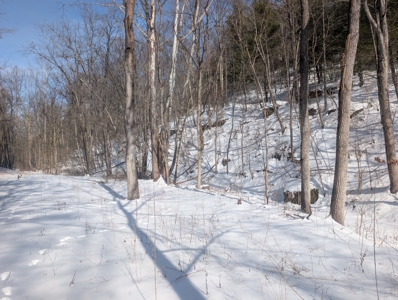 Belmont County Recreational Land Tract 17 - image 2