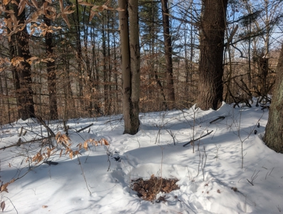 Belmont County Recreational Land Tract 17 - image 12
