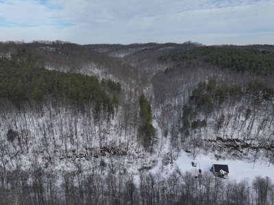 Belmont County Recreational Land Tract 17 - image 22
