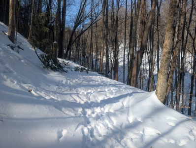 Belmont County Recreational Land Tract 17 - image 3