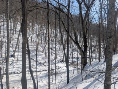 Belmont County Recreational Land Tract 17 - image 8