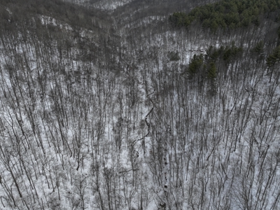 Belmont County Recreational Land Tract 17 - image 20