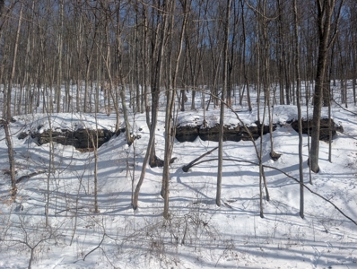 Belmont County Recreational Land Tract 17 - image 5