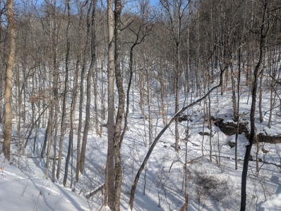 Belmont County Recreational Land Tract 17 - image 7