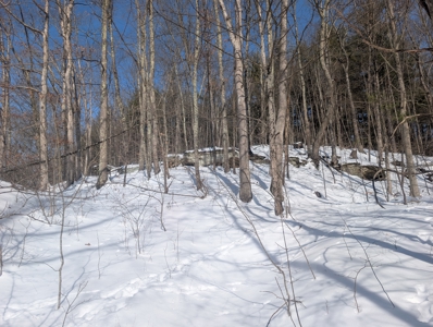 Belmont County Recreational Land Tract 17 - image 10