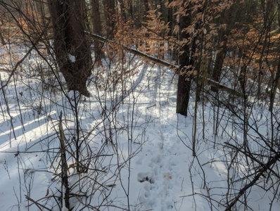 Belmont County Recreational Land Tract 17 - image 14
