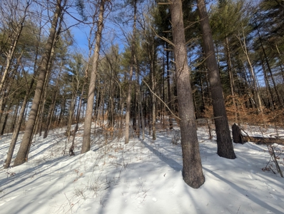 Belmont County Recreational Land Tract 17 - image 11