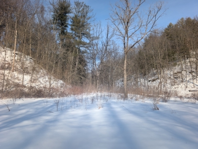 Belmont County Recreational Land Tract 17 - image 1