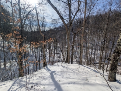 Belmont County Recreational Land Tract 17 - image 9