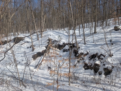 Belmont County Recreational Land Tract 17 - image 4