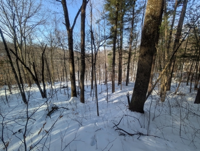 Belmont County Recreational Land Tract 17 - image 13