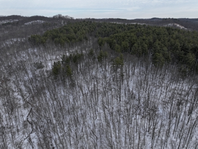 Belmont County Recreational Land Tract 17 - image 21