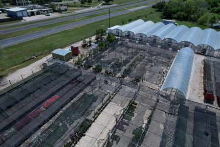 Brilliant Colors of Texas Plant Nursery Business For Sale - image 14