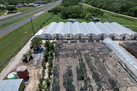 Brilliant Colors of Texas Plant Nursery Business For Sale - image 3