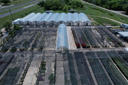Brilliant Colors of Texas Plant Nursery Business For Sale - image 13