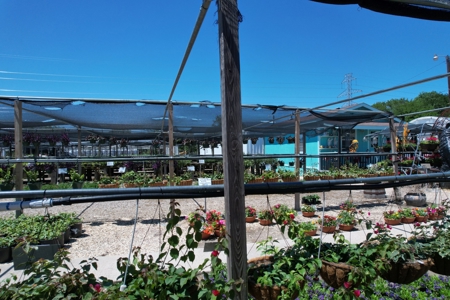 Brilliant Colors of Texas Plant Nursery Business For Sale - image 23