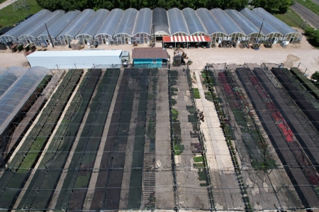 Brilliant Colors of Texas Plant Nursery Business For Sale - image 8