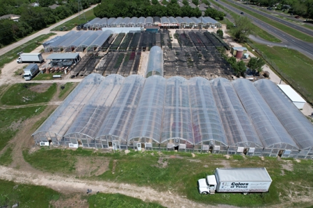 Brilliant Colors of Texas Plant Nursery Business For Sale - image 6