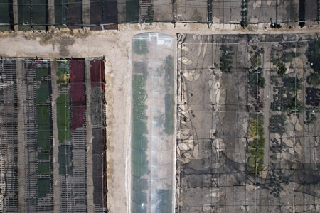 Brilliant Colors of Texas Plant Nursery Business For Sale - image 7