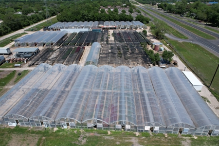 Brilliant Colors of Texas Plant Nursery Business For Sale - image 4