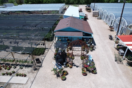 Brilliant Colors of Texas Plant Nursery Business For Sale - image 29