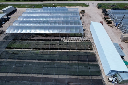 Brilliant Colors of Texas Plant Nursery Business For Sale - image 12