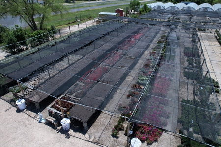 Brilliant Colors of Texas Plant Nursery Business For Sale - image 32