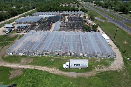 Brilliant Colors of Texas Plant Nursery Business For Sale - image 1