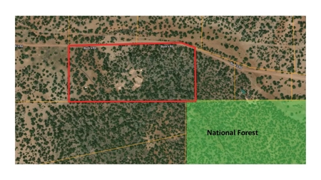 Northern AZ Timber Frames Mountain Home - image 35