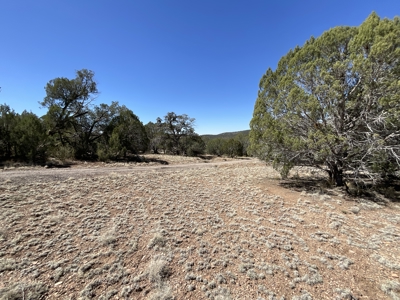 Northern AZ Timber Frames Mountain Home - image 31