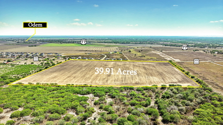 Invest in Land for Sale, San Patricio County, TX - image 3