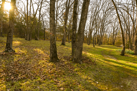 Home for Sale Hickory County Missouri - image 16