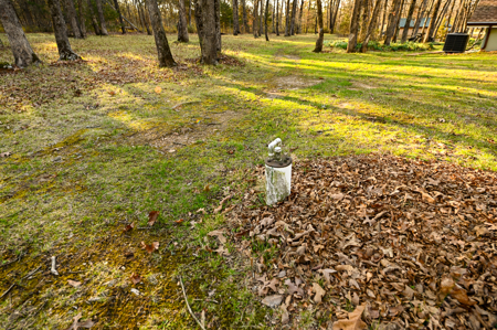 Home for Sale Hickory County Missouri - image 14
