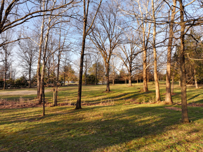 Home for Sale Hickory County Missouri - image 9