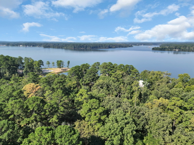 East Texas Lake Tyler Waterfront Lot for Sale East of Dallas - image 20