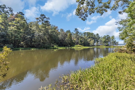 East Texas Lake Tyler Waterfront Lot for Sale East of Dallas - image 19