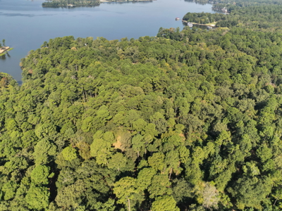 East Texas Lake Tyler Waterfront Lot for Sale East of Dallas - image 15