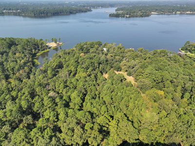 East Texas Lake Tyler Waterfront Lot for Sale East of Dallas - image 16